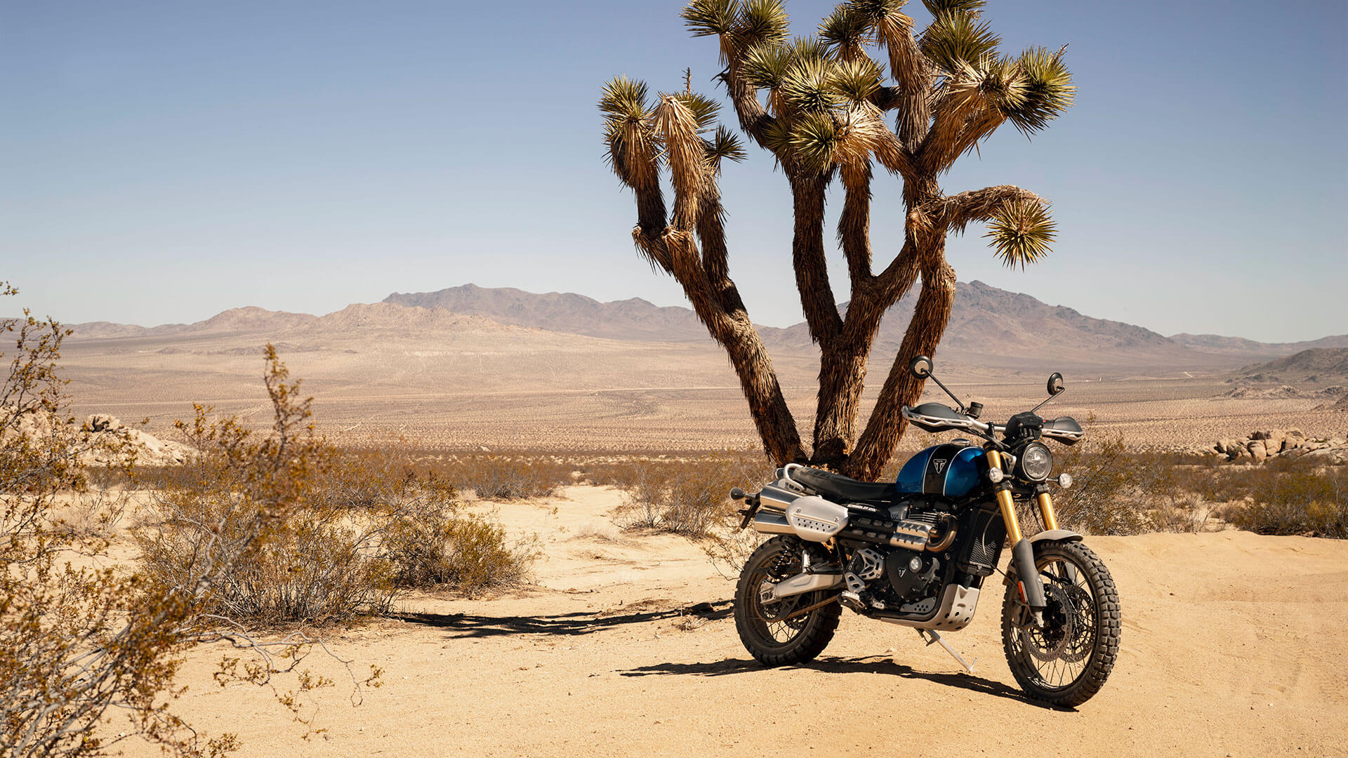 scrambler-1200-xe